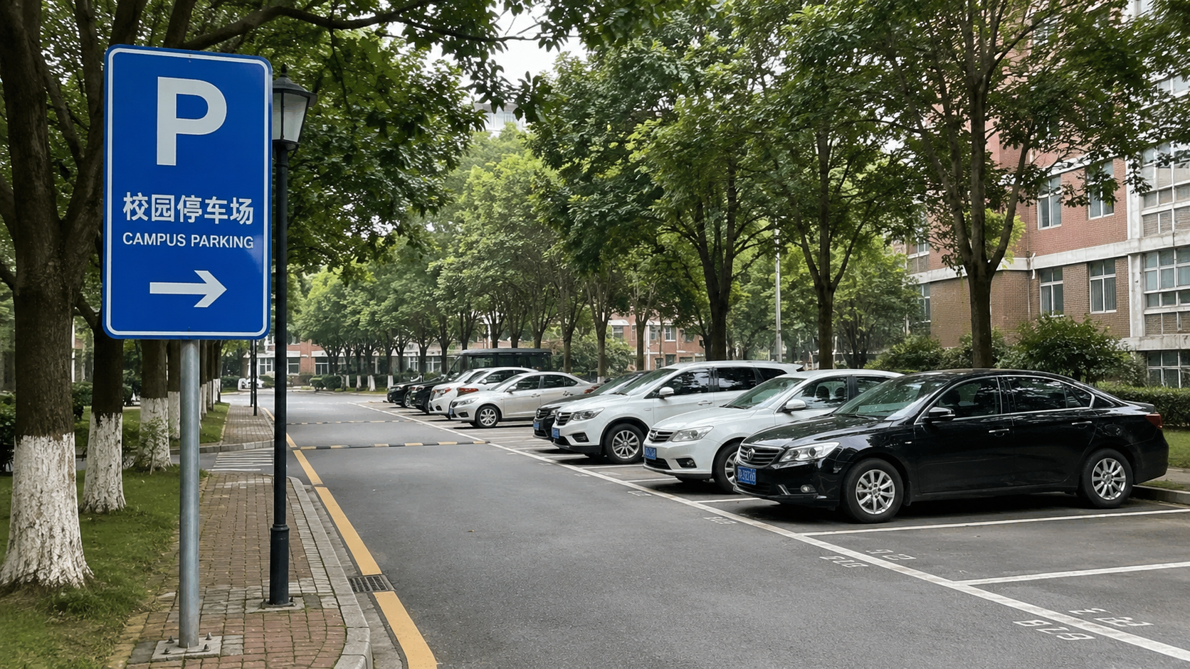 学校停车场